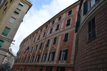 Fototapeta premium Genovese