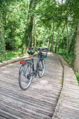 Piste cyclable &agrave; La Garette, Marais poitevin, limousin poitou charentes