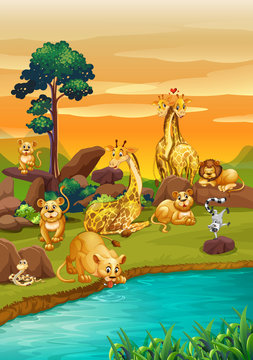 River scene with many wild animals