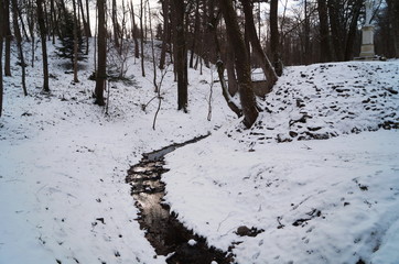 A small mountain river flowing between the snowy slopes with trees and bushes