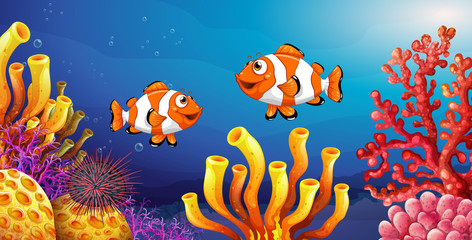 Underwater scene with clownfish and sea urchin