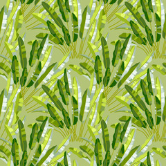 Panele Szklane Podświetlane  Wzór z roślinami tropikalnymi