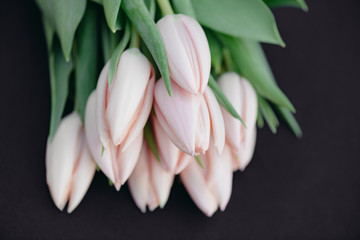 Vintage flower decoration, fresh pink tulip flowers bouquet	