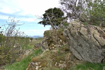 Felsenlandschaft bei Cournols