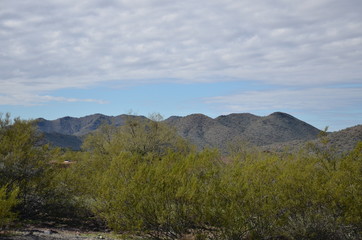Fototapeta premium Cave Creek
