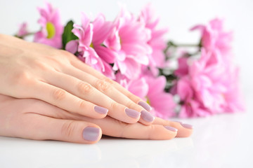 Fototapeta premium Hands of a woman with pink manicure on nails and pink flowers on a white background