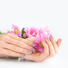 Hands of a woman with pink manicure on nails and pink flowers on a white background