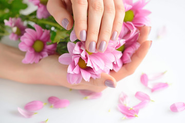 Obraz na płótnie Canvas Hands of a woman with pink manicure on nails and pink flowers on a white background