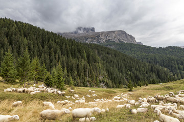 Fototapeta premium Im Gadertal, Suedtirol