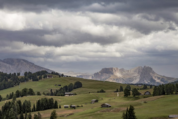 Auf der Seiser - Alm