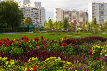 The sleeping area with flowers in Moscow, Russia