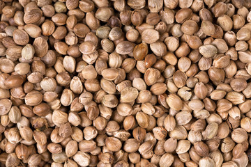 Hemp seed background