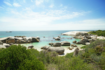 Fototapeta na wymiar View of Boulders beach, Simon's town, South Africa
