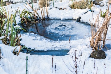 Gartenteich eingefroren