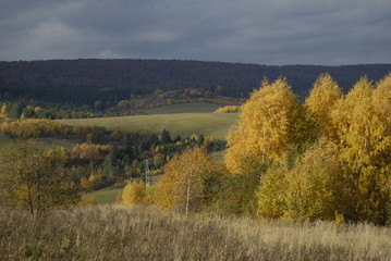Fototapeta premium Park Krajobrazowy Pogorza Przemyskiego.