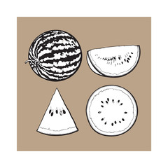 black and white Whole, half, quarter and slice of ripe watermelon, sketch style vector illustration isolated. Realistic hand drawing of whole, half, quarter and piece of watermelon