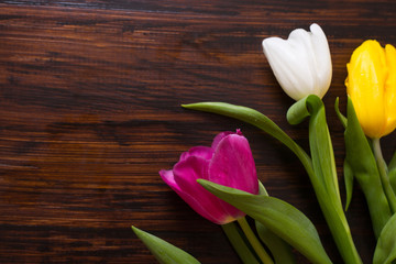 Tulips on a wooden background, view from above