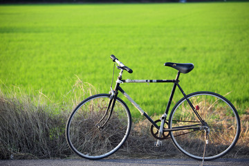 Fototapeta na wymiar vintage bicycle with green rural field background