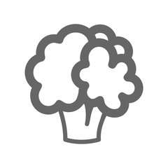Cauliflower outline icon. Vegetable vector