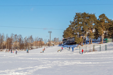 Skiing and sledding in the park