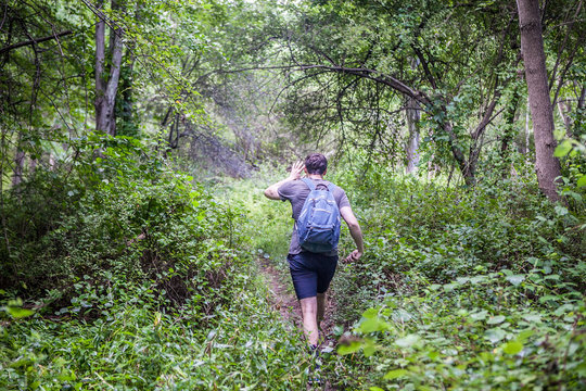 Young hiker man walking into the woods forest bramble