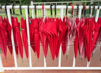 red umbrellas hanging on the row