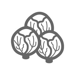 Brussels sprouts outline icon. Vegetable vector