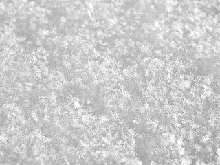 texture of white snow sparkling in the sun