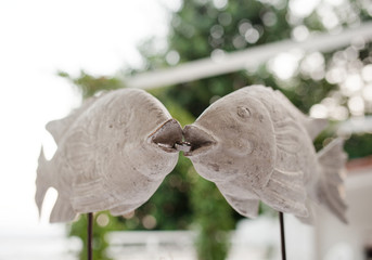 Wedding rings in the mouth of two fish