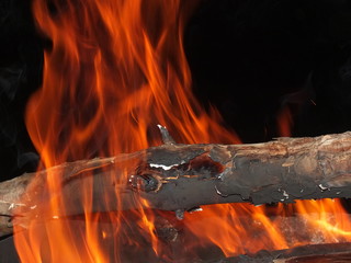Fire and log of wood