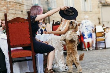 Woman with violer hair plays with dog sitting by the bride