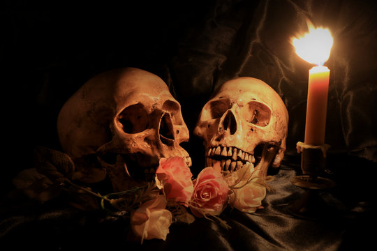 human skulls and pile of withered dry flowers and candle light on dark background in night time / Still life image and Selective focus