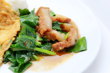 Stir fried kale with crispy pork and Thai Omelette with rice in white dish iIsolated on white background, Thai Food