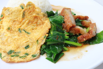 Stir fried kale with crispy pork and Thai Omelette with rice in white dish iIsolated on white background, Thai Food