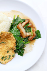 Stir fried kale with crispy pork and Thai Omelette with rice in white dish iIsolated on white background, Thai Food
