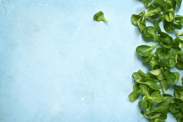 Spring background with  salad leaves.Top view with space for tex © lilechka75