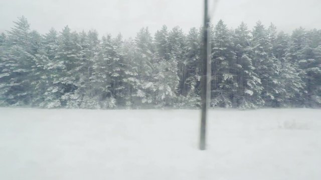 View from the train window to the winter landscape.