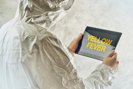 Scientist using tablet to get informed about yellow fever diseas
