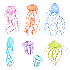 Watercolor vector underwater jellyfishes