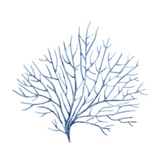 Watercolor vector underwater corals