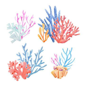 Watercolor vector underwater corals