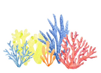 Watercolor coral composition