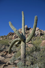 Pinnacle Peak