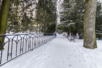 Polanica Zdrój, park zimą © martabialonoga