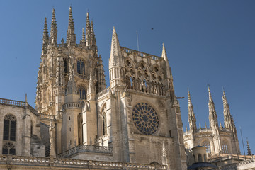 Fototapeta premium Burgos (Spain): cathedral