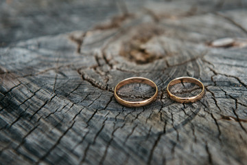 Beautiful wedding rings on wooden background, a stump