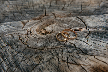 Beautiful wedding rings on wooden background, a stump