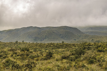 Fototapeta na wymiar Cotopaxi National Park Landscape Scene