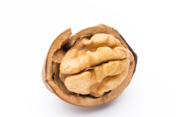 Walnut and walnut kernel isolated on the white background.