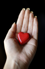 Obraz premium Holding heart